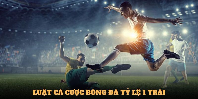 Luật cá cược bóng đá tỷ lệ 1 trái dễ thắng